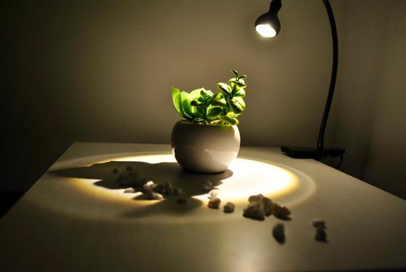 Номер Стандарт, B&b Scilla Mare