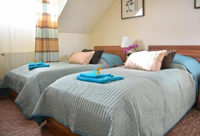 غرفة قياسية, Airport Glossel Panzió