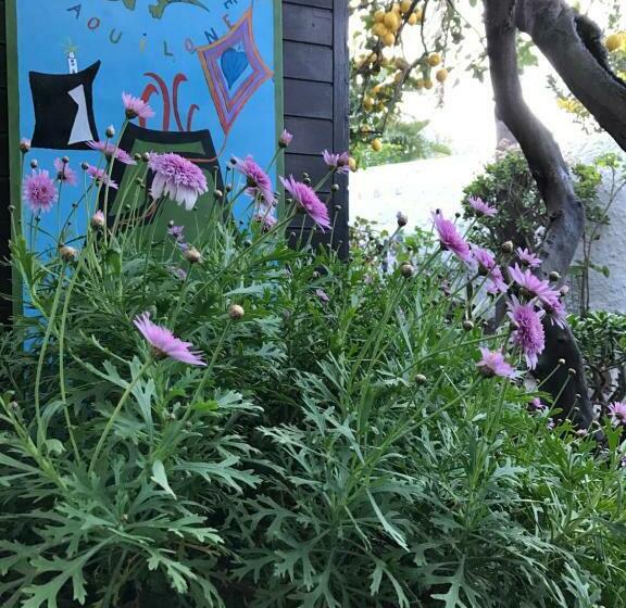 חדר סטנדרט, Aquilone Residence