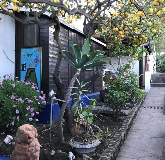 חדר סטנדרט, Aquilone Residence