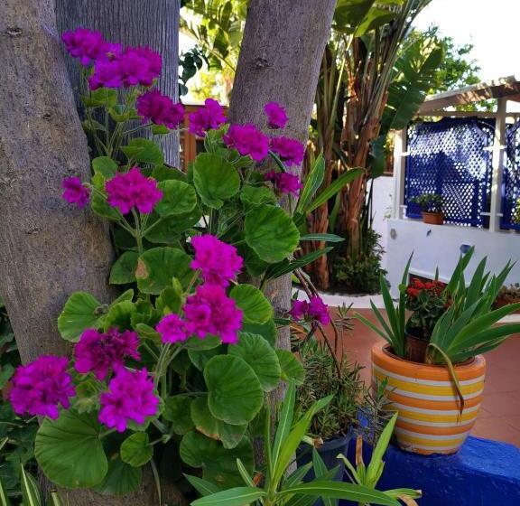 חדר סטנדרט לשלושה עם נוף לגינה, Aquilone Residence