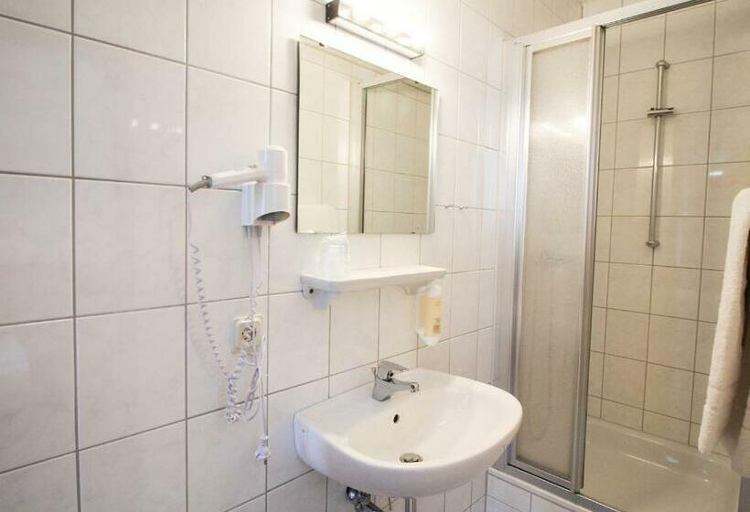 标准单人间, Center Hotel Essen