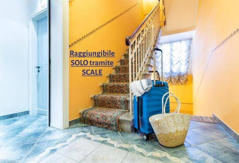 Economy Triple Room, Orizzonte