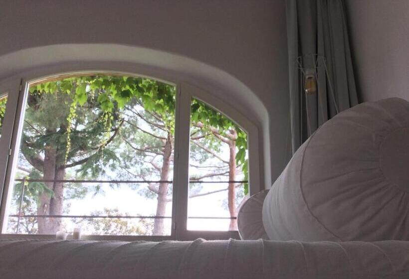 اتاق استاندارد با چشمانداز باغ, B&b A Piazza Del Gesù