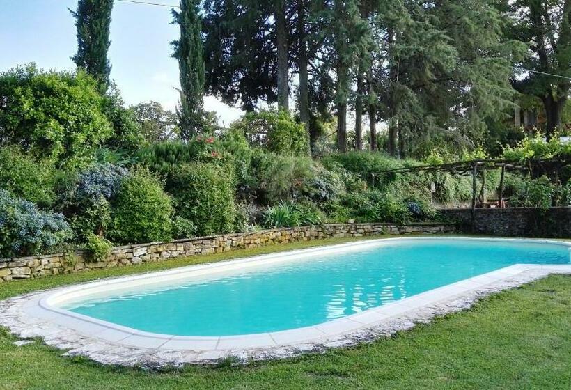 Номер Стандарт, B&b Le Due Volpi