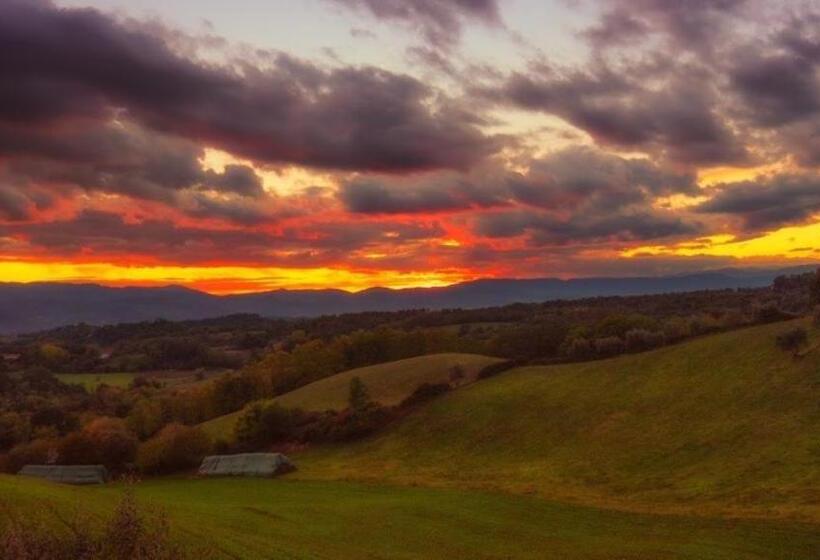 Номер Стандарт, B&b Le Due Volpi