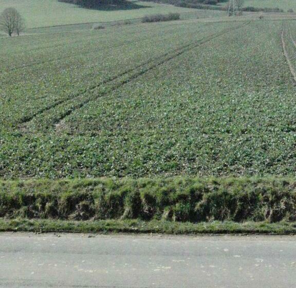 سرير فى غرفة مشتركه, Guesthouse Herriot