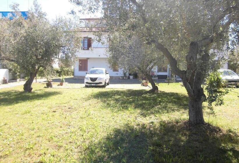 Pokój Standard Trzyosobowy, Ma.di Bb