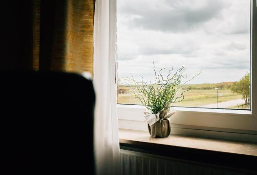 اتاق استاندارد یک نفره, Brandaris