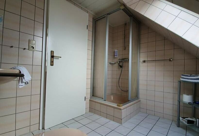 침실 1개 아파트, Schatthaus