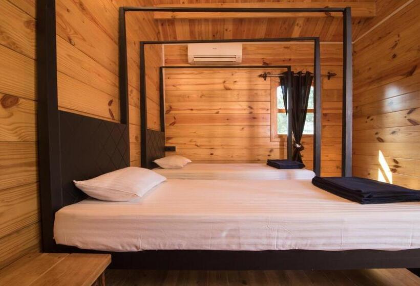 Casa 1 Quarto, Dreams Hostel