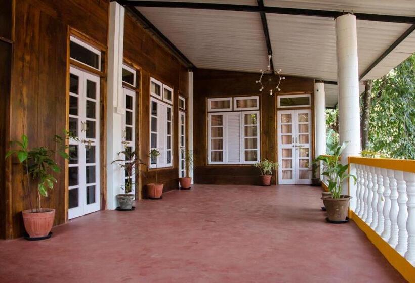 Quarto Estandar Individual Banheiro Compartilhado, Dreams Hostel