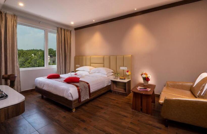 シングルデラックスルーム, Msp Grands Inn