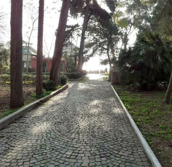 スタンダードルーム, Il Moretto