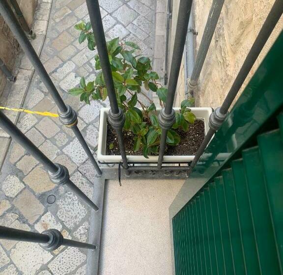 スタンダードルーム, Il Moretto