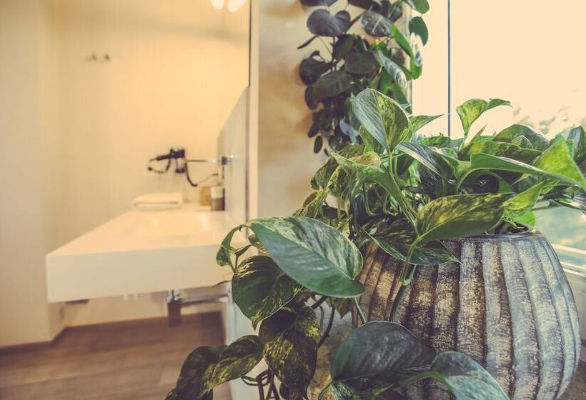 Номер Стандарт Вид на Сад, Langhe Country House