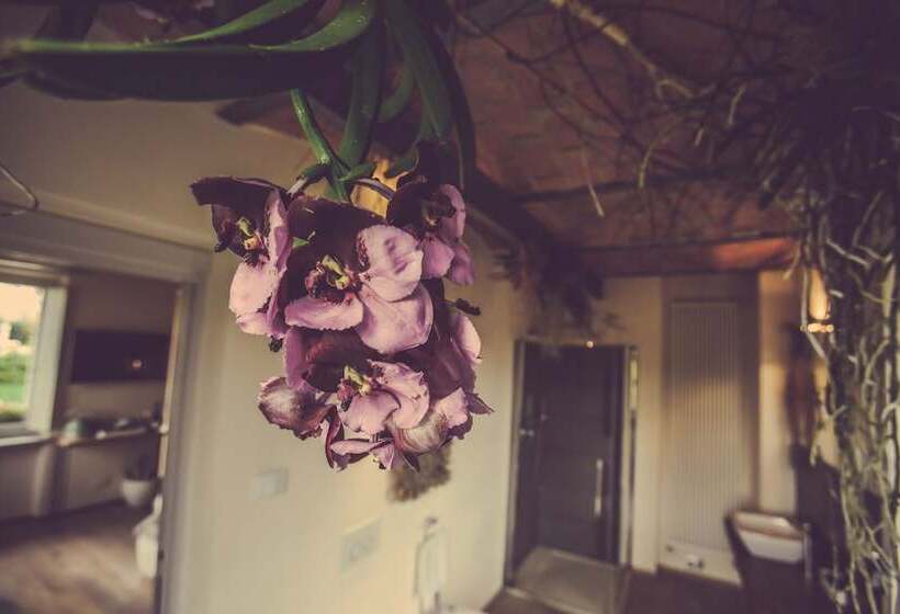 Полулюкс Вид на Сад, Langhe Country House