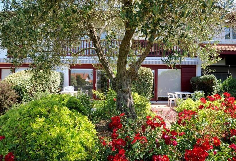 庭の見える1ベッドルームアパートメント, & Appartements Gochoki