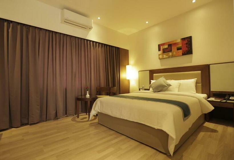 Camera Standard, Park Connect