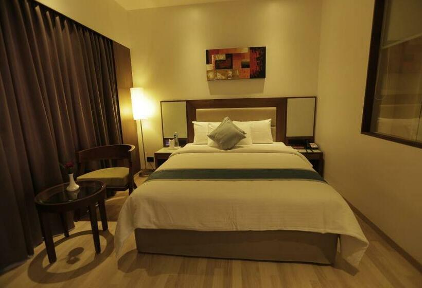 Camera Standard, Park Connect