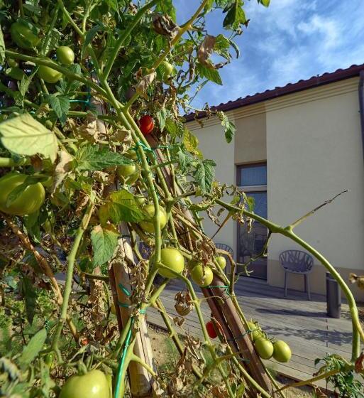 스위트, Resort Il Gallo Senone