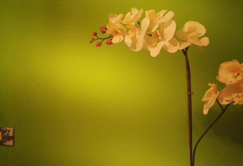 חדר סטנדרט, B&b Villa Mirella