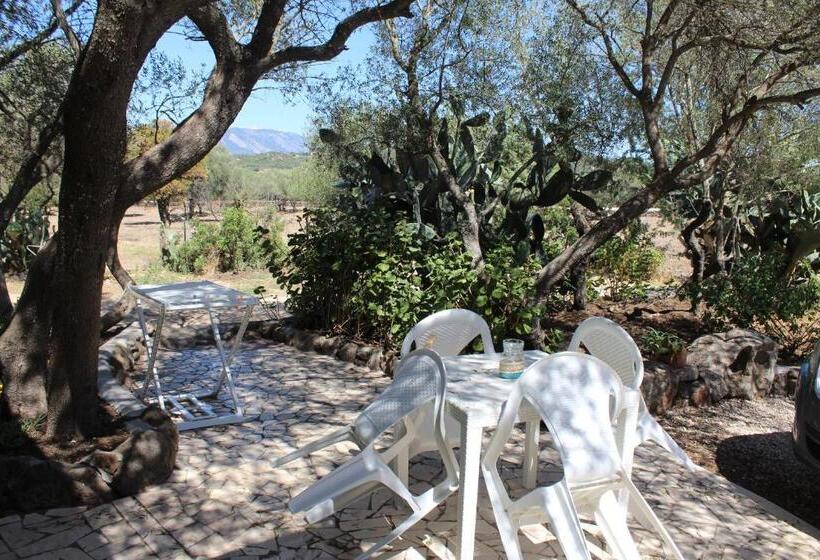 Háromágyas Standard Szoba, Agriturismo Pira Pinta