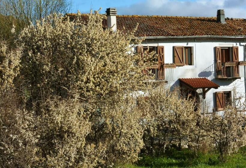 اتاق استاندارد با تخت بزرگ, Masseria Cerasella