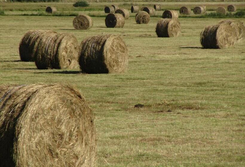 اتاق استاندارد, Masseria Cerasella