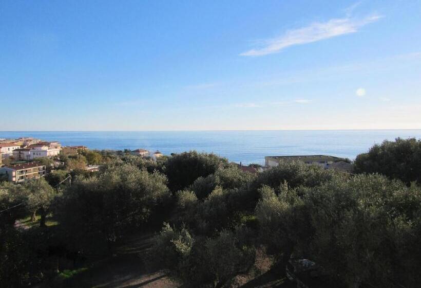 스탠다드 룸, Santa Rosalia