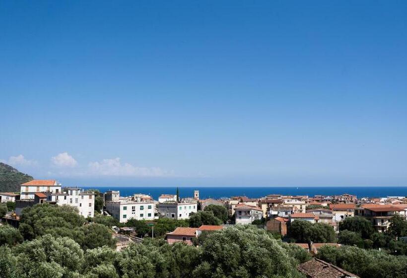 스탠다드 룸, Santa Rosalia