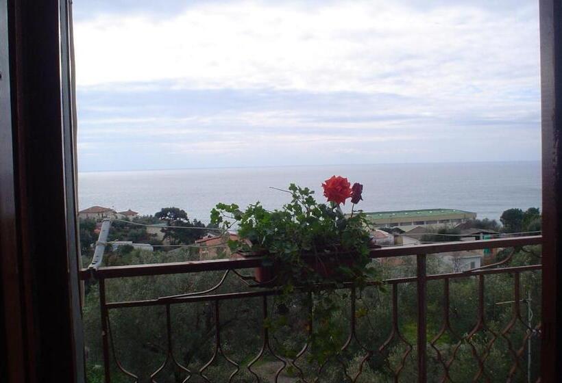 스탠다드 룸, Santa Rosalia