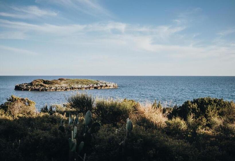 스탠다드 룸, Santa Rosalia