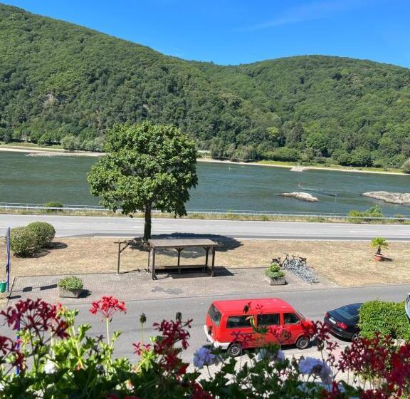 이코노미 룸, Schön