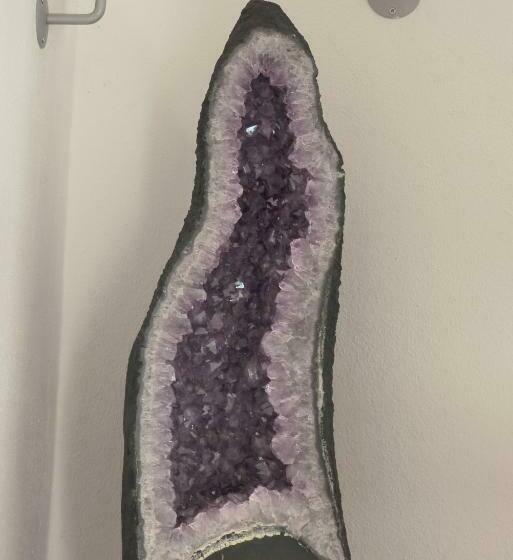 חדר סטנדרט נוף לגינה, B & B Ametista Bergamo