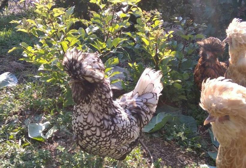 آپارتمان یک خوابه با دری مشترک که هال را جدا می کند., B&b Il Suono Del Bosco