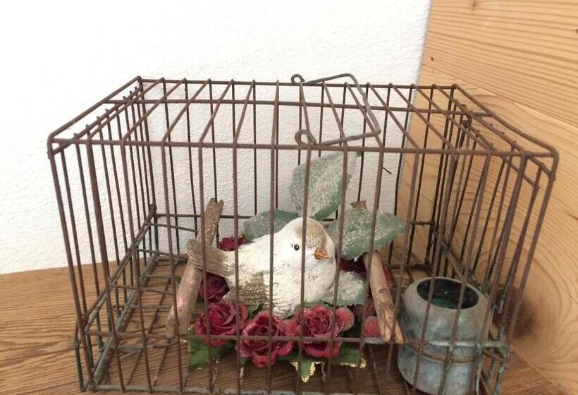 Номер Стандарт, Fra Rose E Mughi