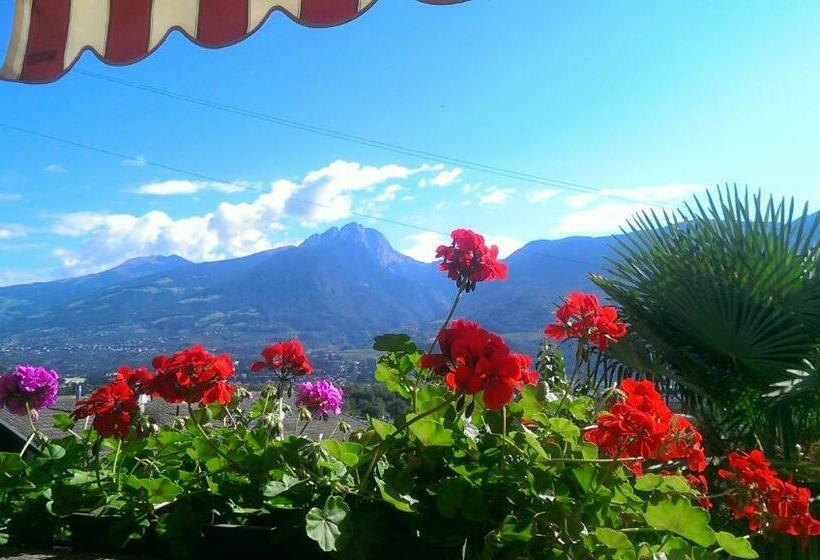 اتاق استاندارد یک تخته با بالکن, Eden Guesthouse