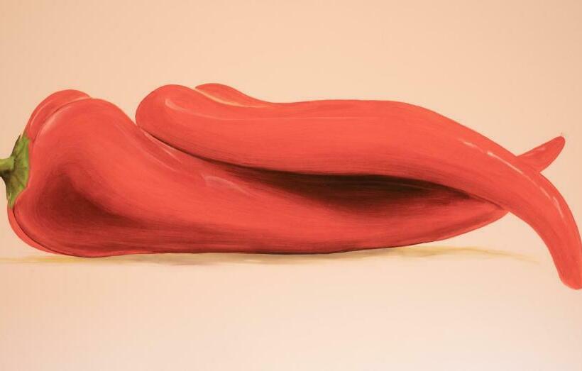 חדר סטנדרט, Il Castello Di Modolo