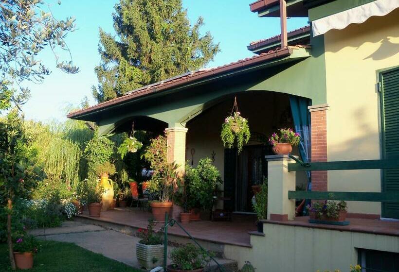 스탠다드 자쿠지 룸, Tavernamici