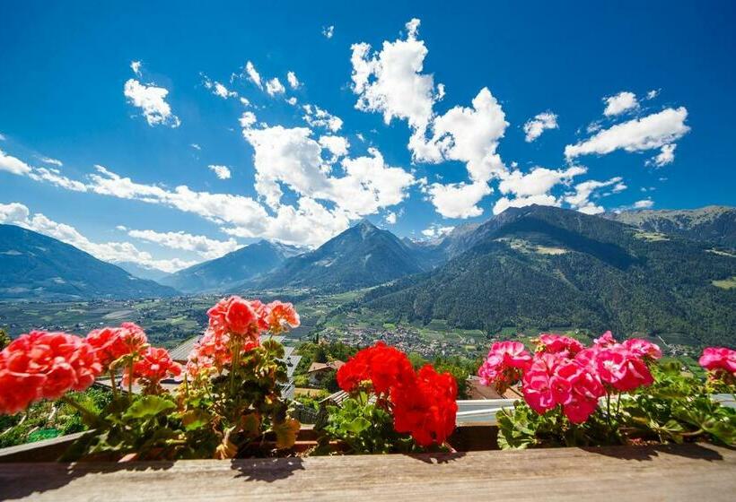 标准间带阳台, Family Hotel Gutenberg