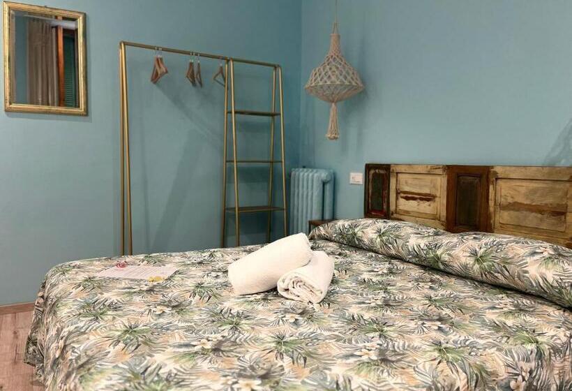 اتاق استاندارد, Nice