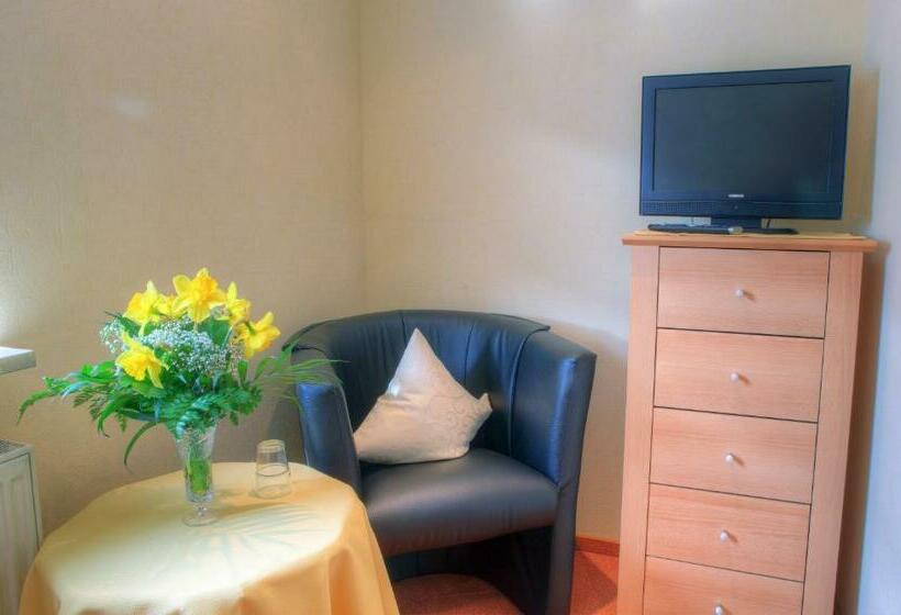 Номер Стандарт Индивидуальный, Moselterrasse