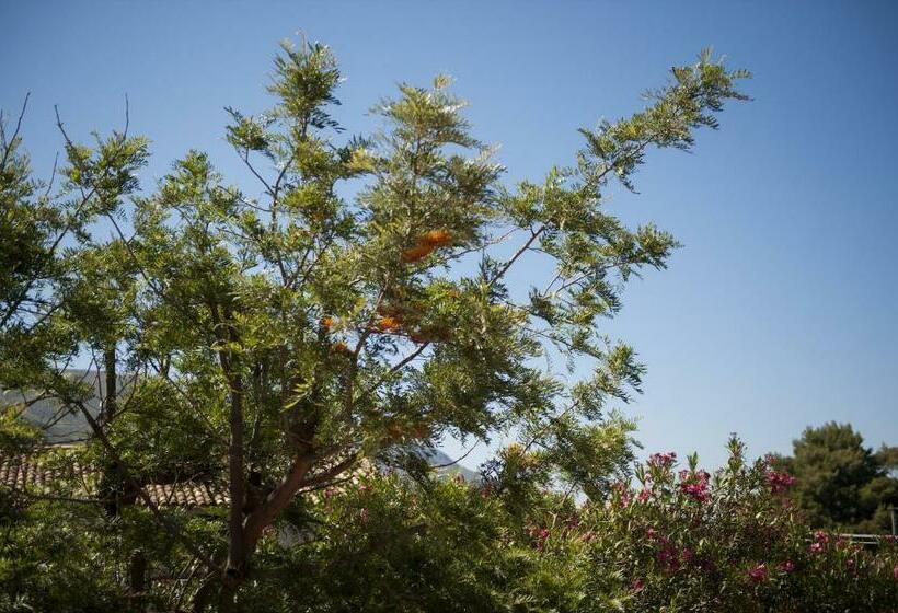 基本间, Baglio Buccellato