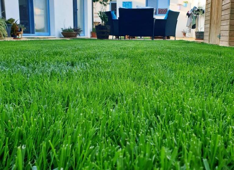 חדר סטנדרט לשלושה, Torremana