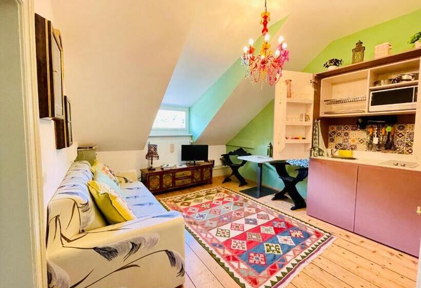 شقة غرفة واحدة, Zenana Boutique