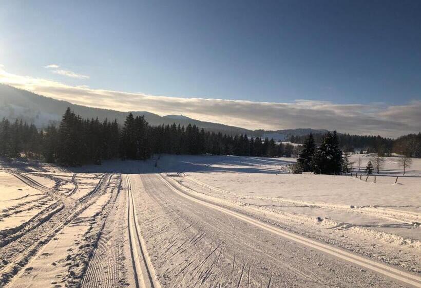 Номер Стандарт, Golf Du Rochat