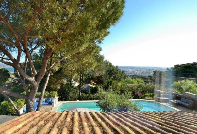 스탠다드 룸, La Singulière