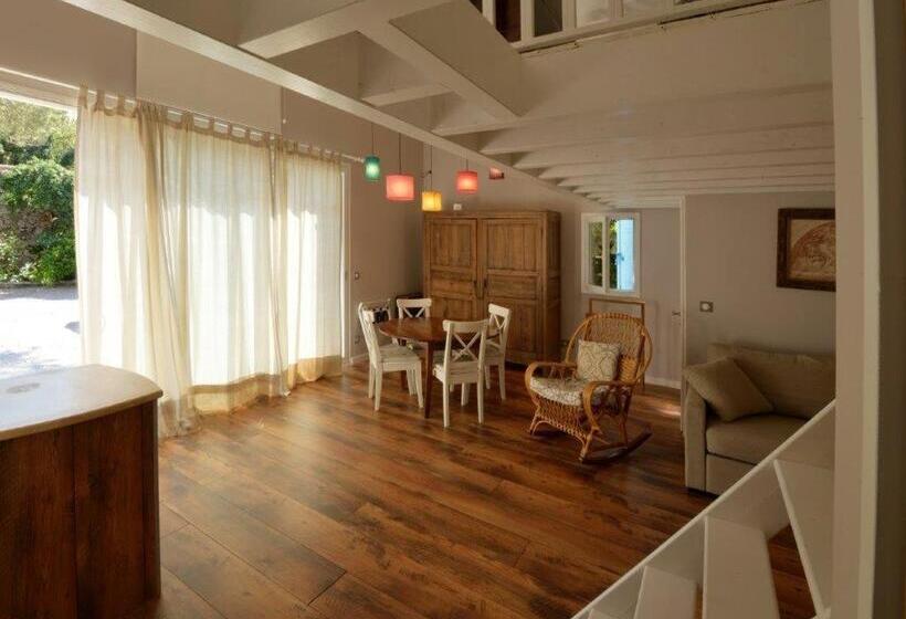 스탠다드 스튜디오, La Singulière