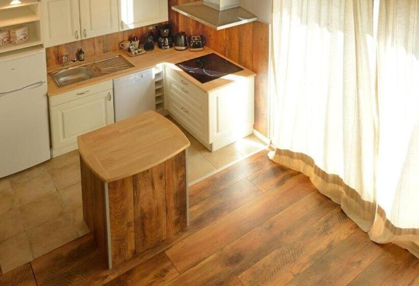 스탠다드 스튜디오, La Singulière